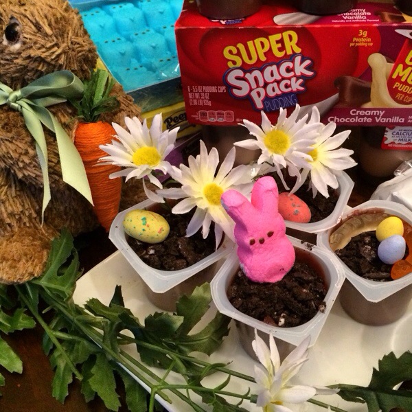 Gluten Free Pudding Cups Topped with Earthworms and Robin Eggs