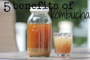 5 Benefits of Kombucha - Classy Mommy