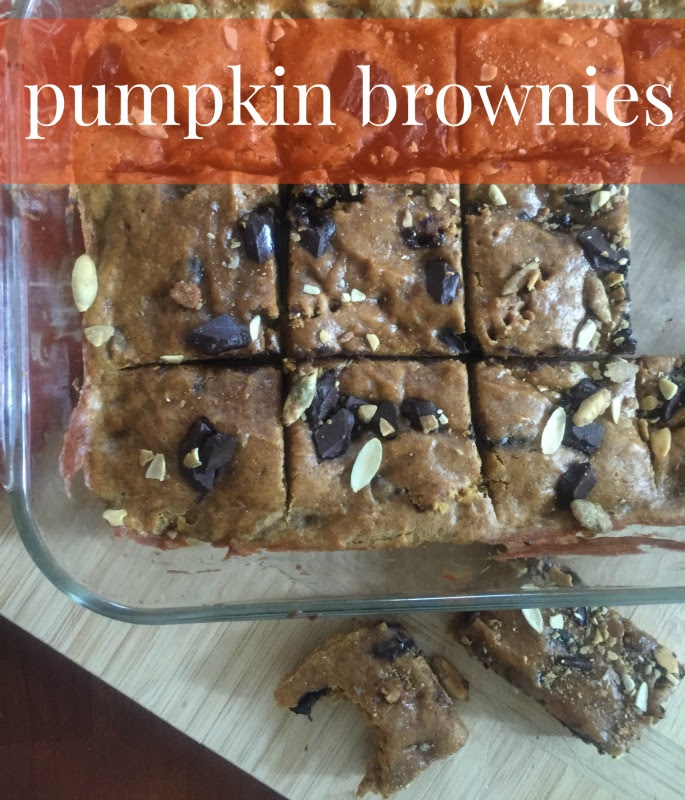 Pumpkin Brownies Recipe
