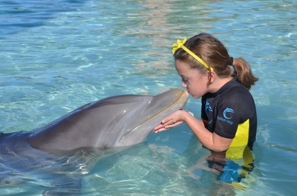 Dolphin Kiss