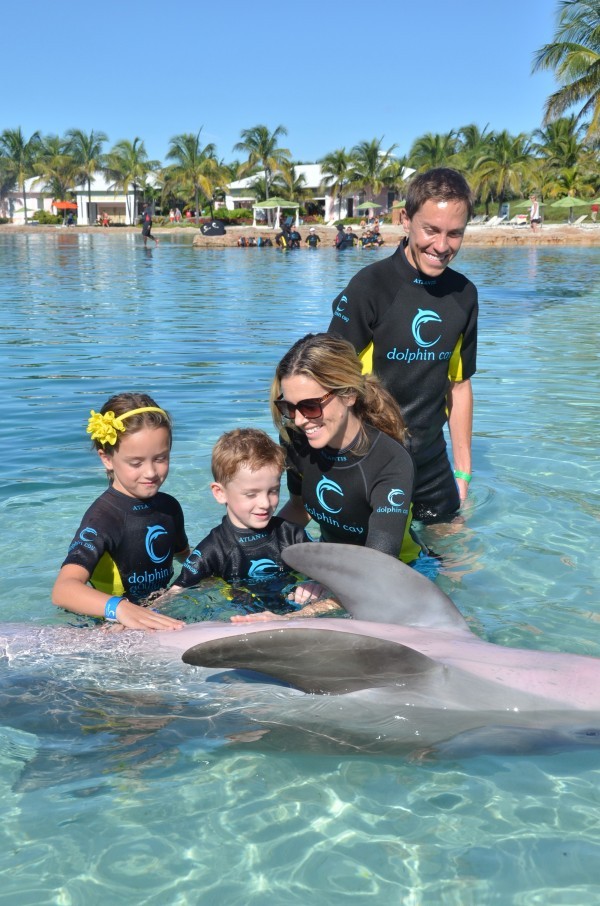 family swim dolphins