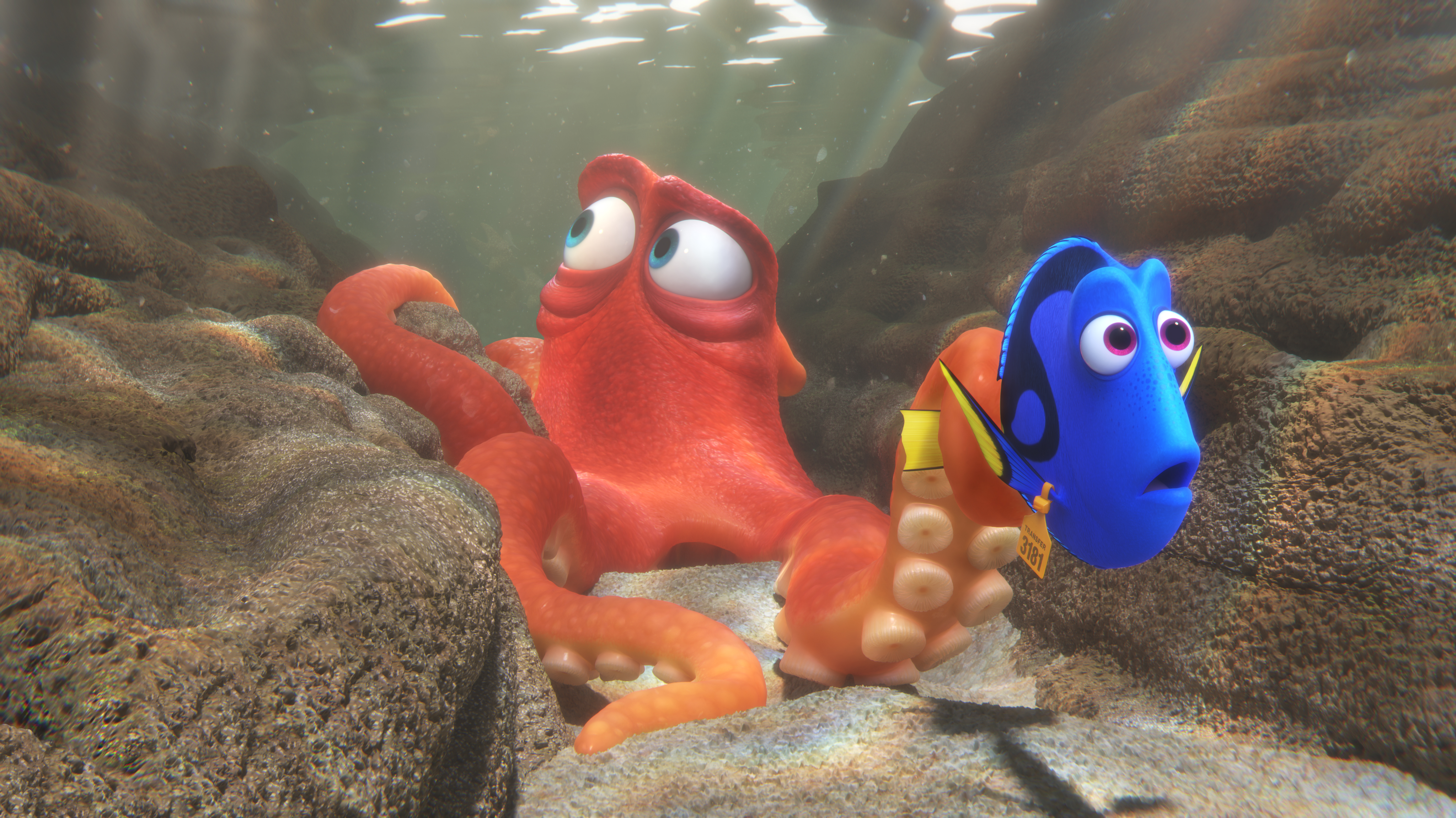 Finding Dory Inside Scoop Interview with Ellen and Ed O'Neill