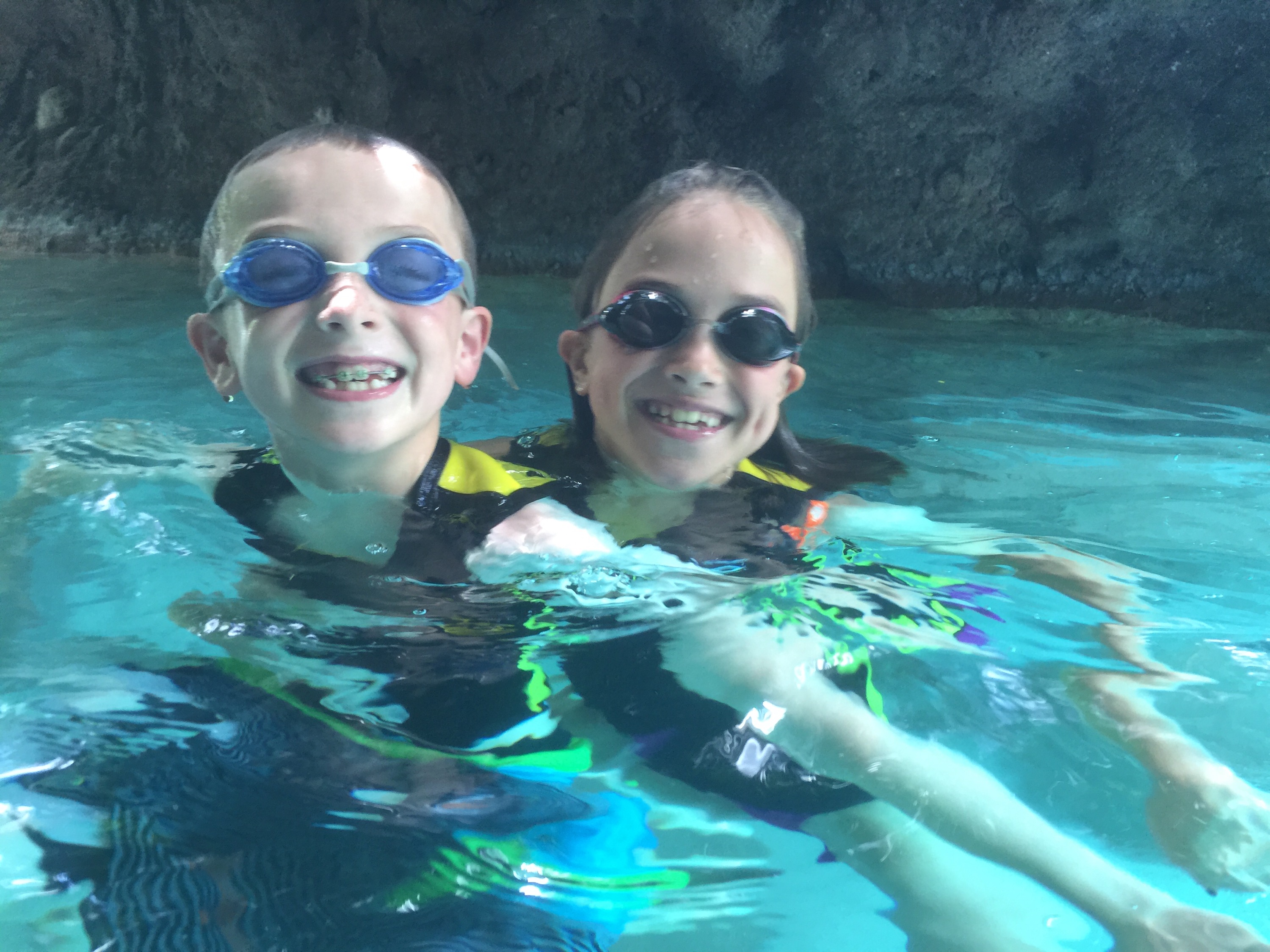 7 Reasons Why Visiting Discovery Cove Is Worth the Price