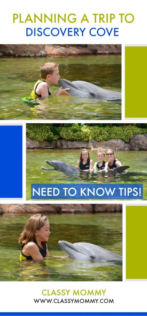 Details on Swimming with Dolphins at Discovery Cove