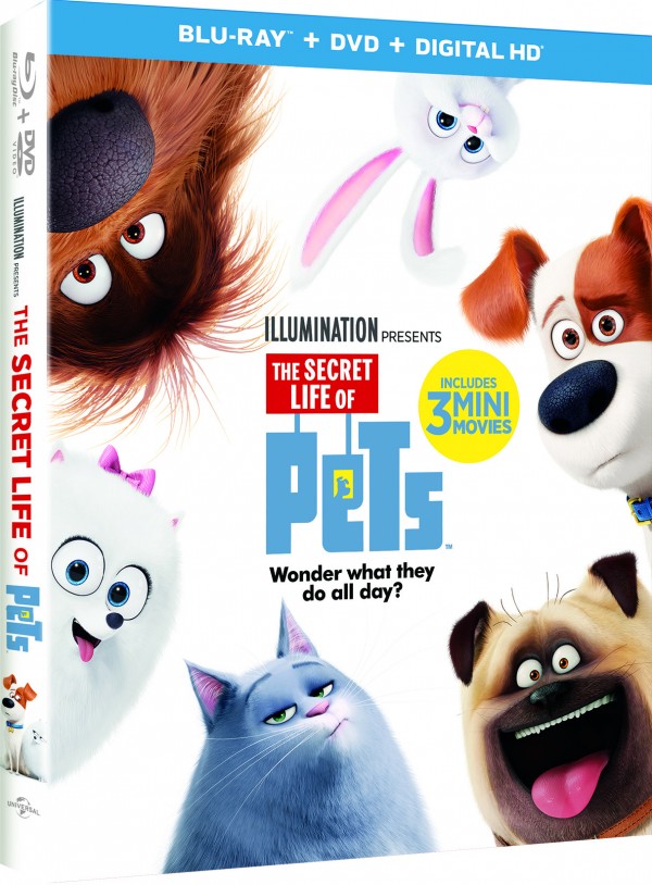 Secret Life of Pets BluRay DVD Givewaway