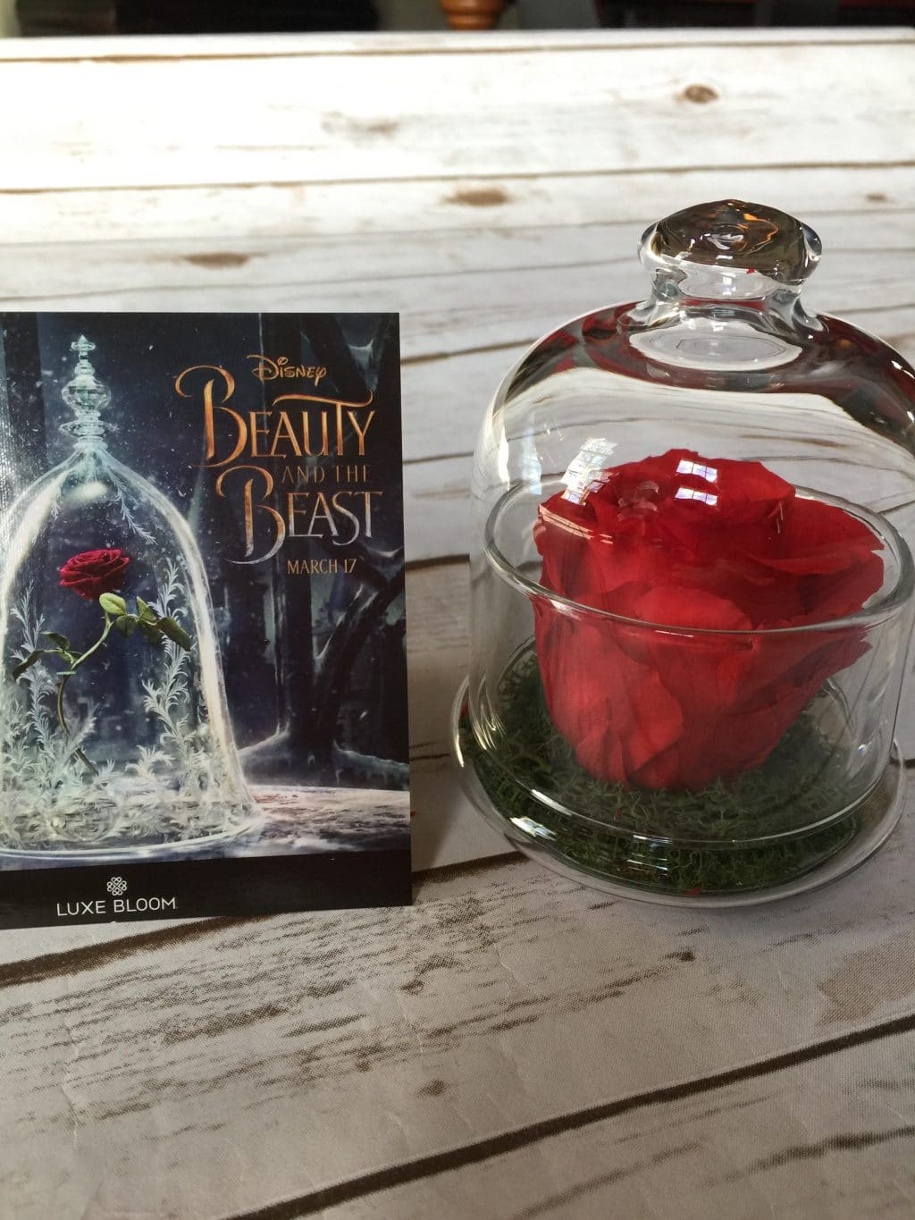 Luxe Bloom Beauty and the Beast Inspired Rose in a Glass Jar