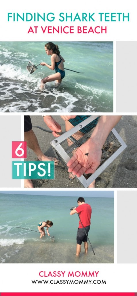 Tips for Shark Teeth Hunting on Venice Beach