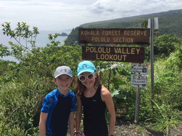 Best Hikes on Big Island of Hawaii Pololu Valley Hike Tips