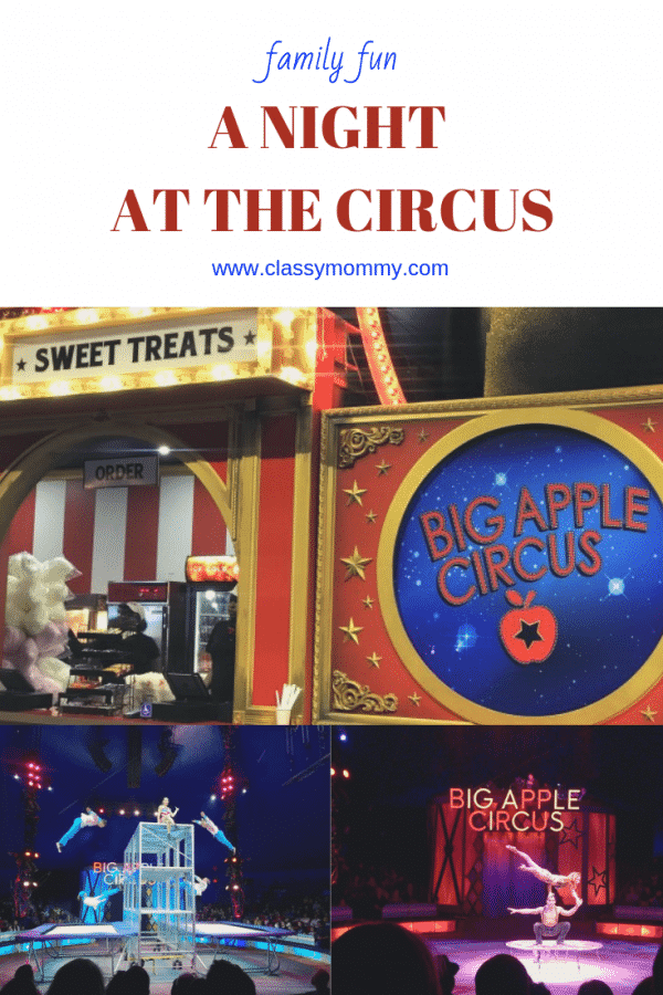 Big Apple Circus Review