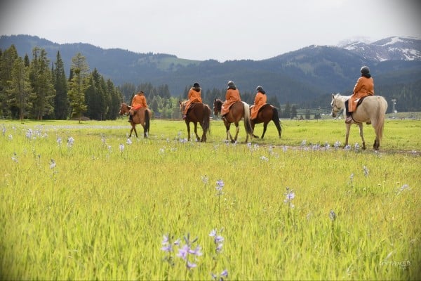 Diamond P Ranch Horseback Riding in Yellowstone Country