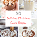 20 Delicious Christmas Cocoa Recipes