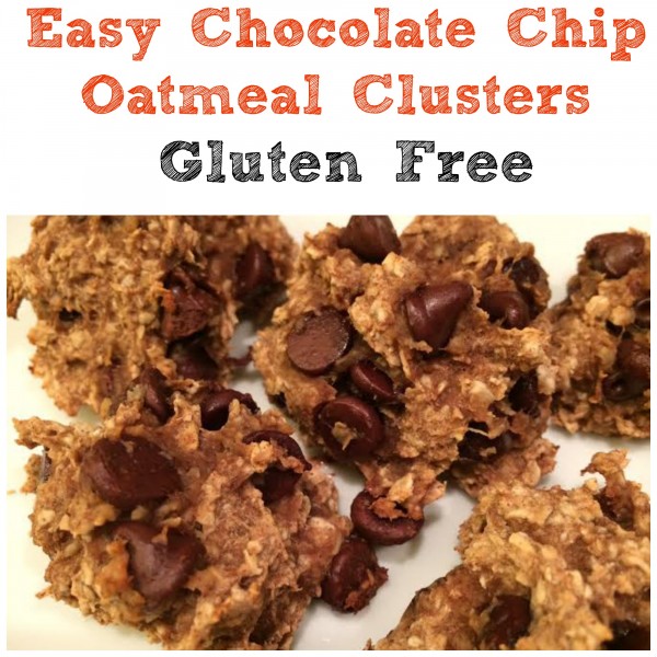 Easy Gluten Free Chocolate Chip Oatmeal Clusters Recipe