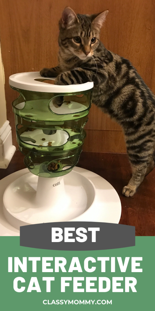 Best Interactive Cat Feeder
