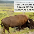 Sample Yellowstone and Grand Teton Itinerary from Bozeman Montana